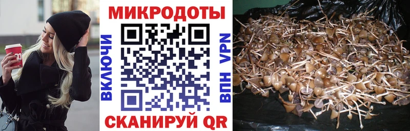 omg ссылка  Светлый  Галлюциногенные грибы Psilocybine cubensis 